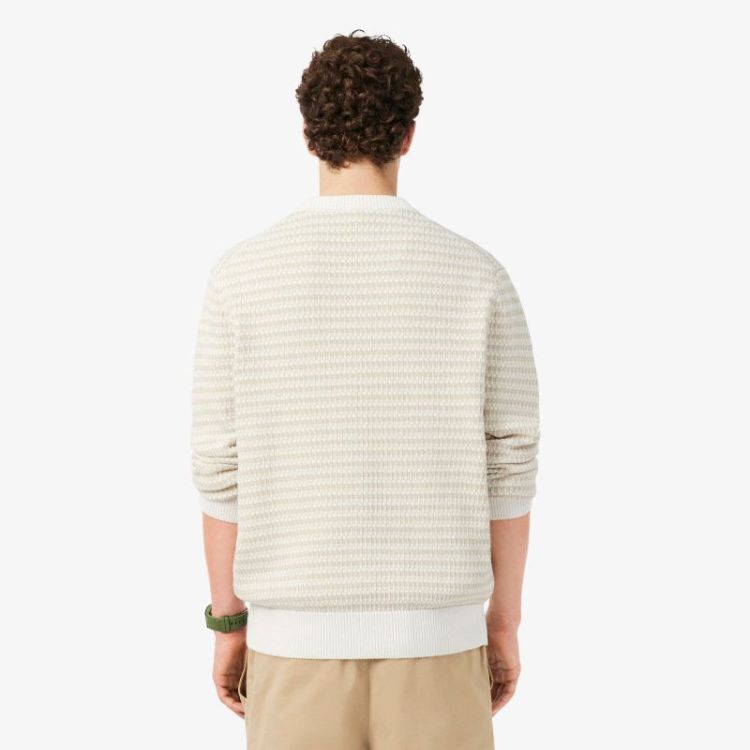  WL6 POWDER-PEGA