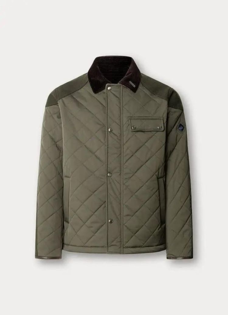  728 OLIVE