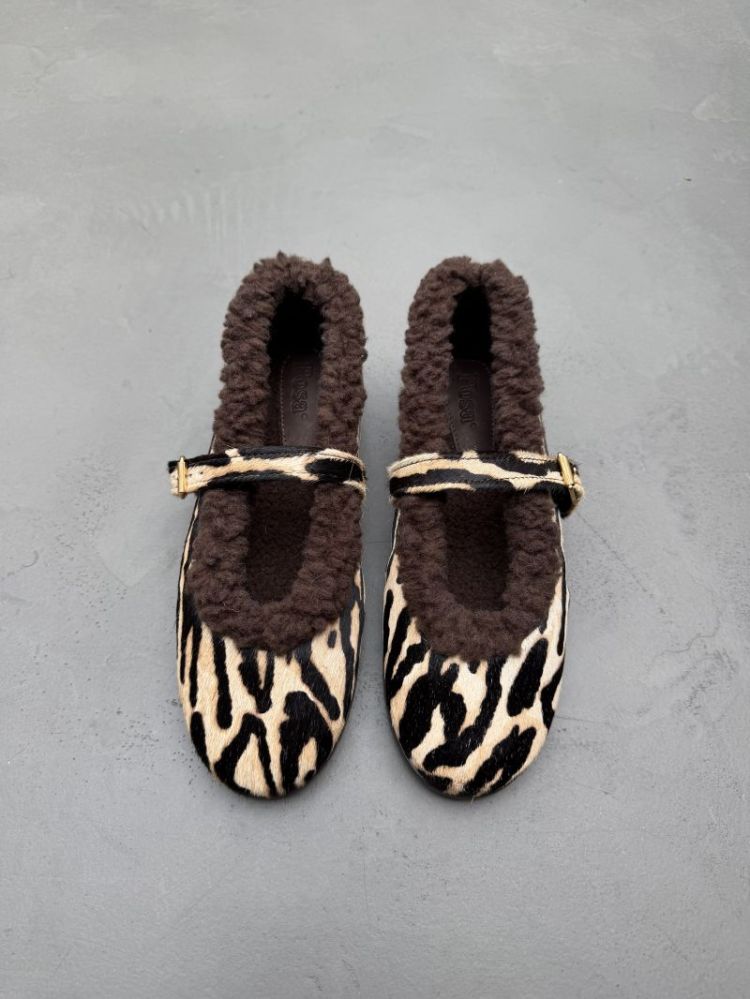 703 ZEBRA